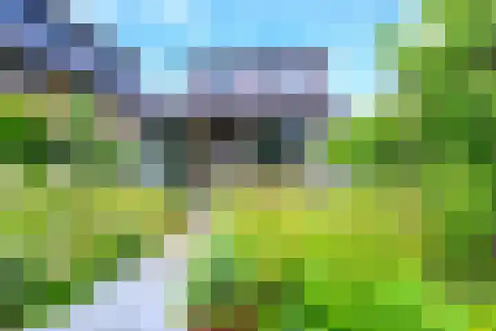 Akkerwinde 8 't Veld thumbnail 19
