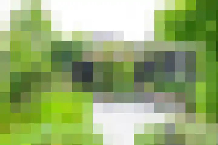 Akkerwinde 8 't Veld thumbnail 20
