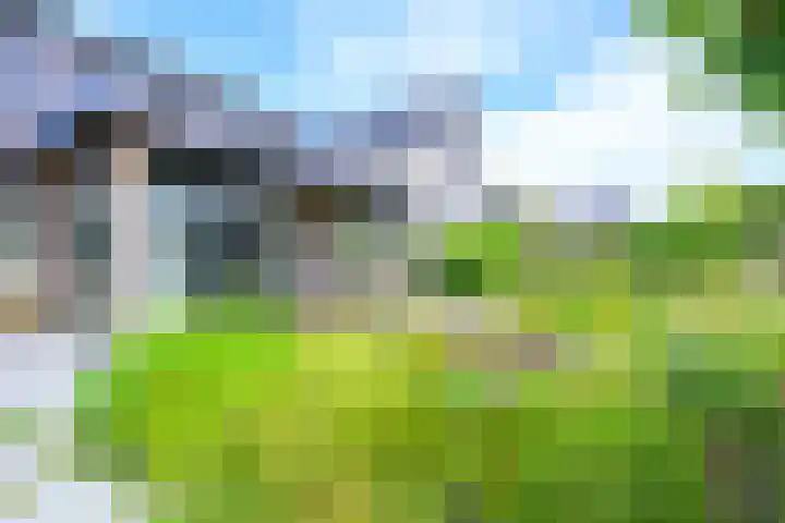 Akkerwinde 8 't Veld thumbnail 22