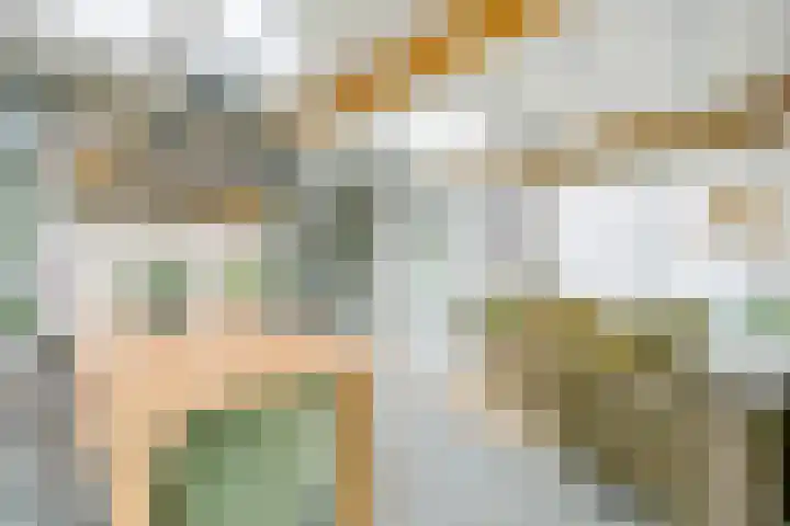 Akkerwinde 8 't Veld thumbnail 23