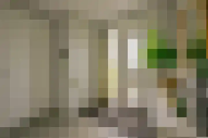 Akkerwinde 8 't Veld thumbnail 38