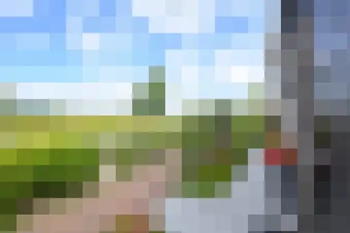 Akkerwinde 8 't Veld thumbnail 41