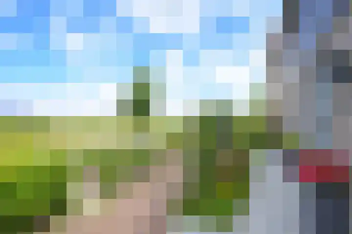 Akkerwinde 8 't Veld thumbnail 42