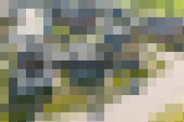 Akkerwinde 8 't Veld thumbnail 45