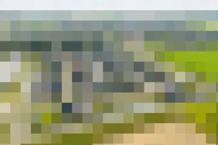 Akkerwinde 8 't Veld thumbnail 47