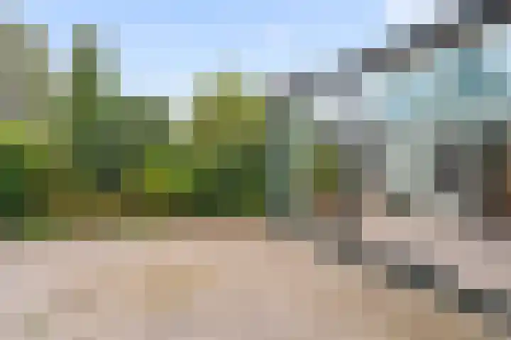 Akkerwinde 9 IJsselstein thumbnail 26