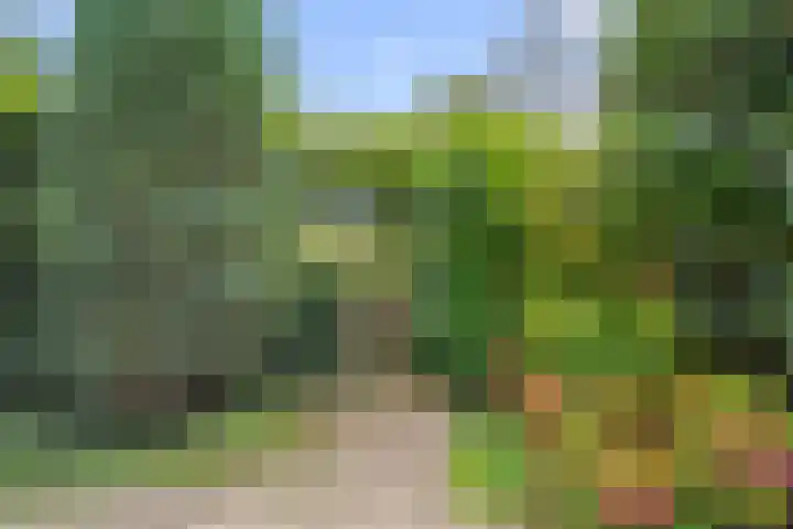 Akkerwinde 9 IJsselstein thumbnail 32