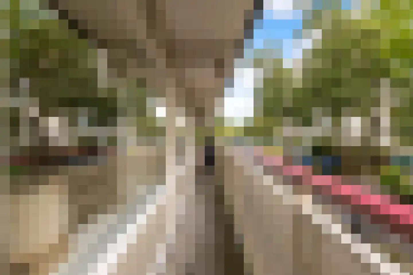 Akkerwinde 99 Capelle aan den IJssel thumbnail 15