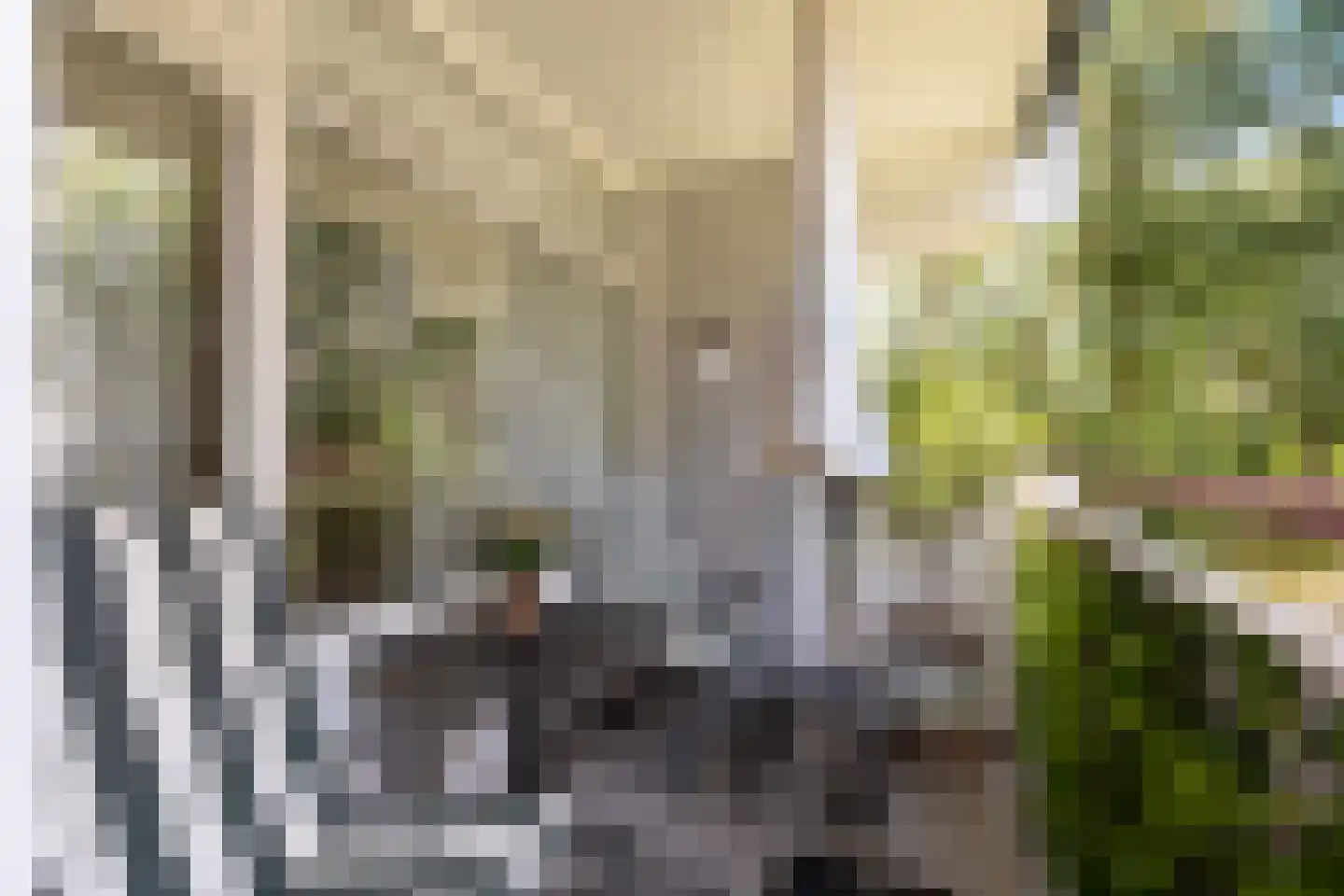Akkerwinde 99 Capelle aan den IJssel thumbnail 16