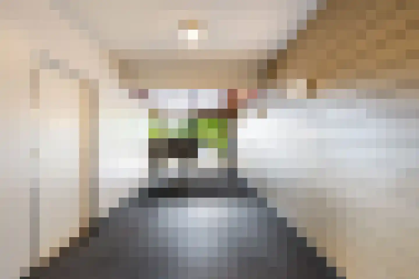 Akkerwinde 99 Capelle aan den IJssel thumbnail 34