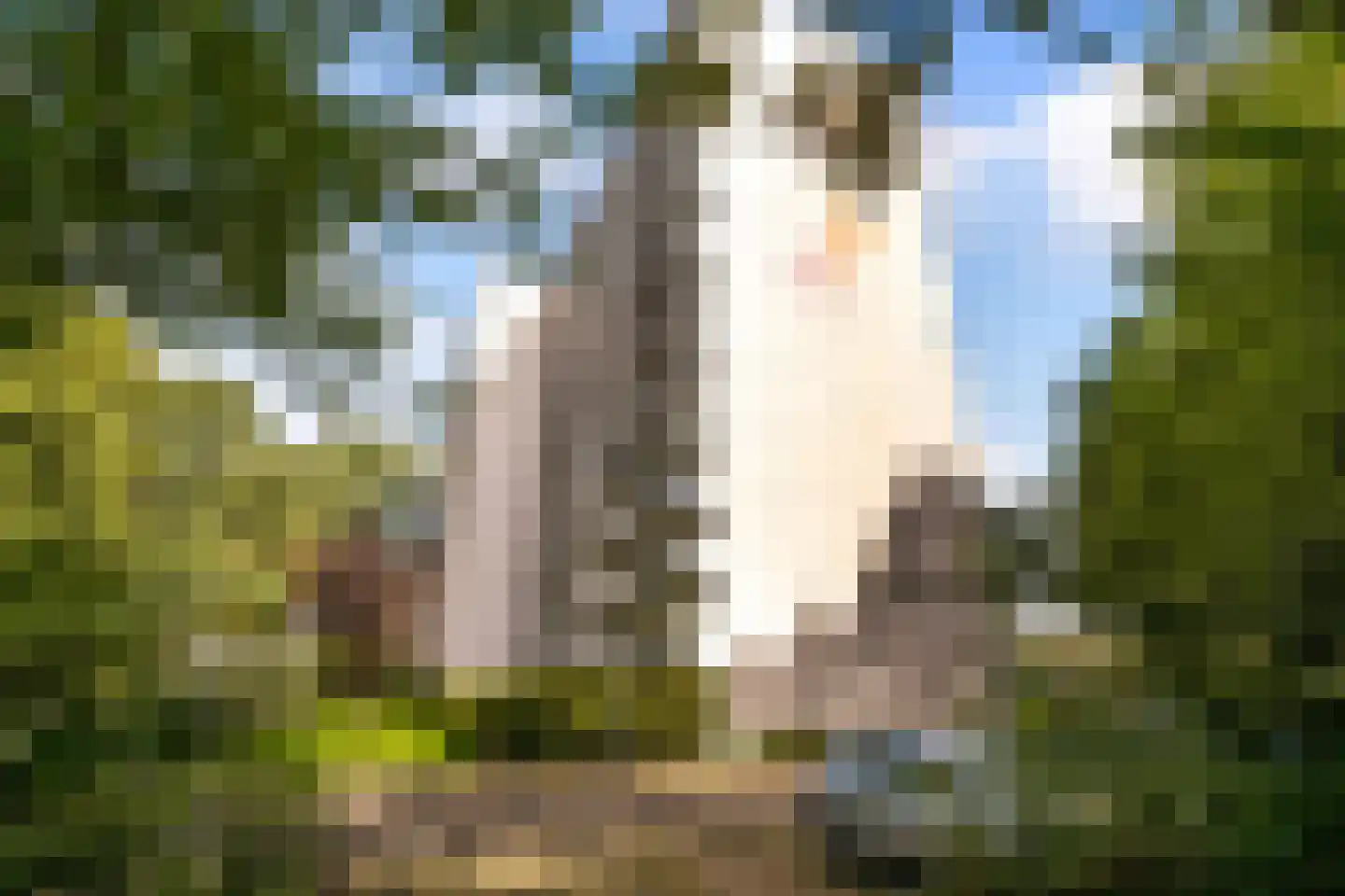 Akkerwinde 99 Capelle aan den IJssel thumbnail 38