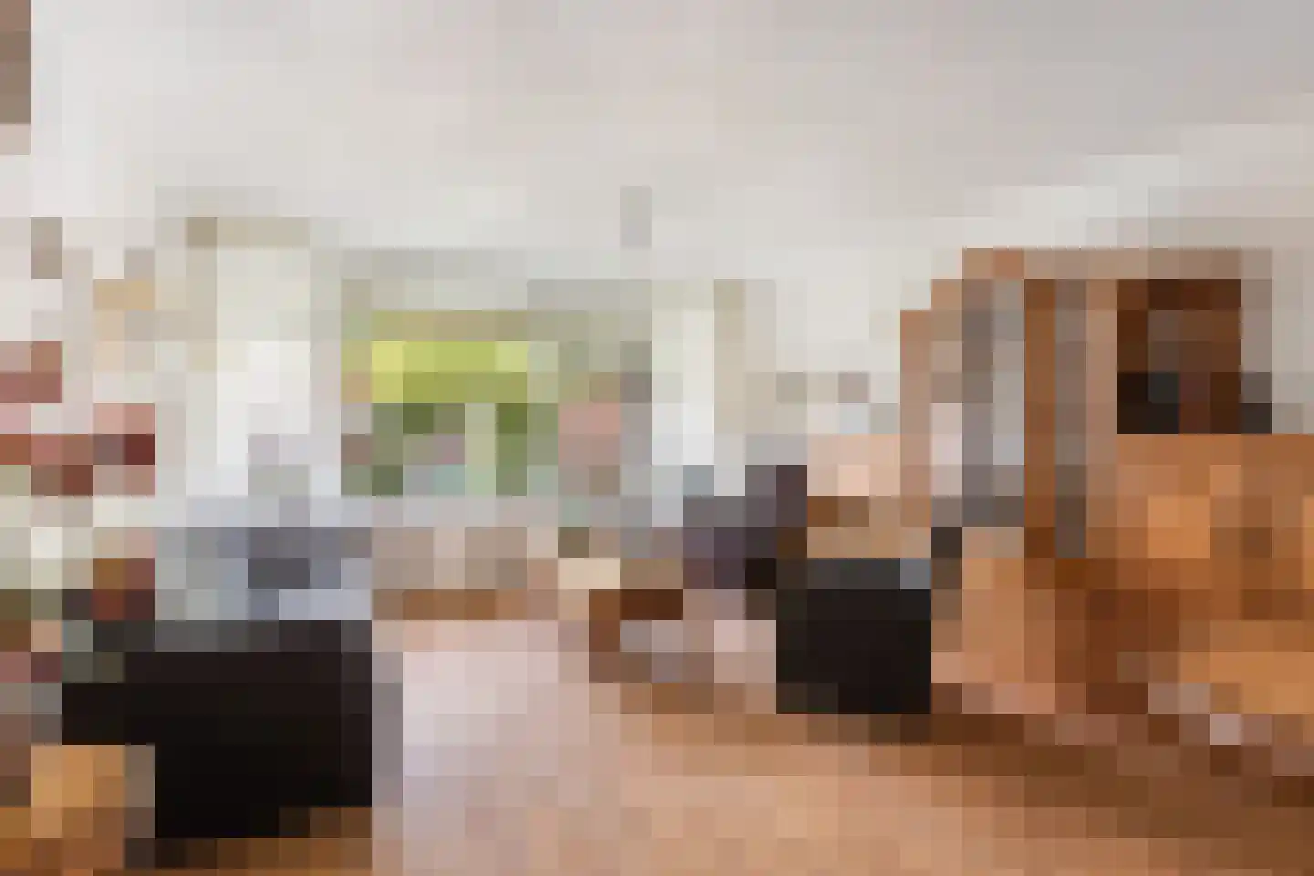Akkerwinde 99 Capelle aan den IJssel thumbnail 5