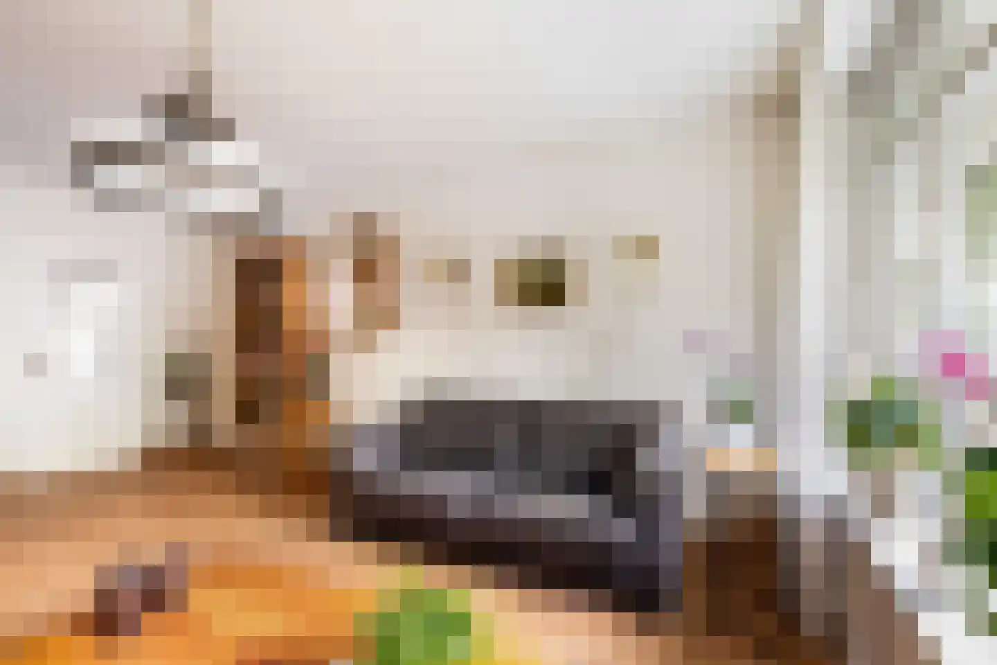 Akkerwinde 99 Capelle aan den IJssel thumbnail 7