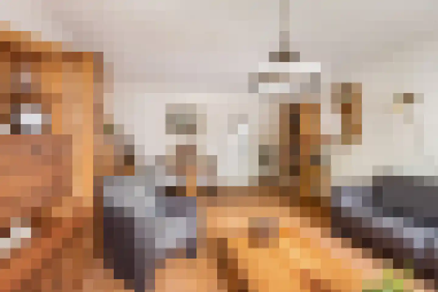 Akkerwinde 99 Capelle aan den IJssel thumbnail 8