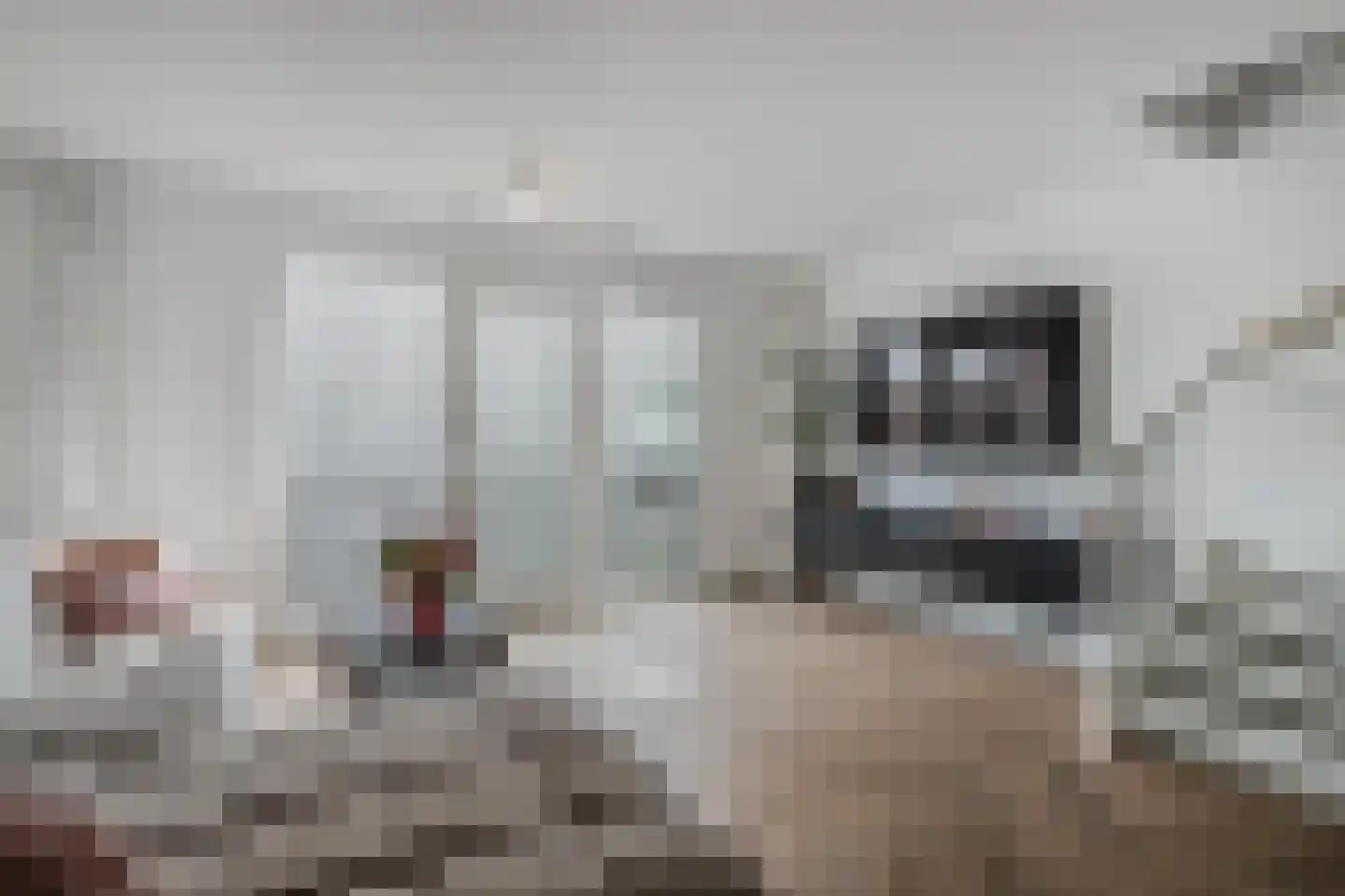 Akkerwindehof 17 Heerhugowaard thumbnail 5