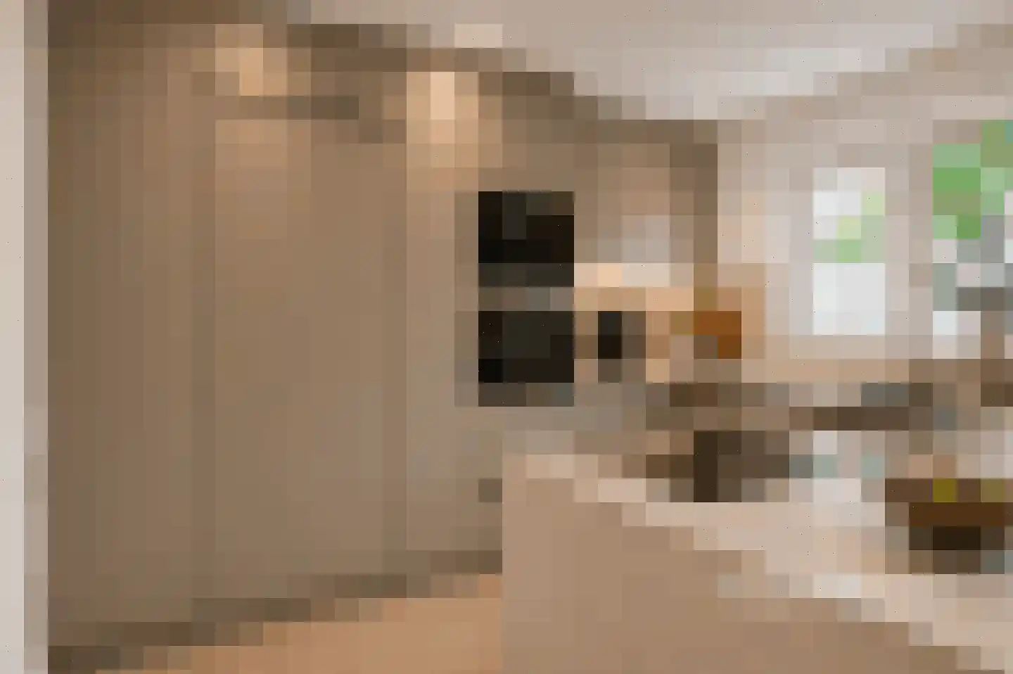 Akkerwindelaan 1 Leerdam thumbnail 15