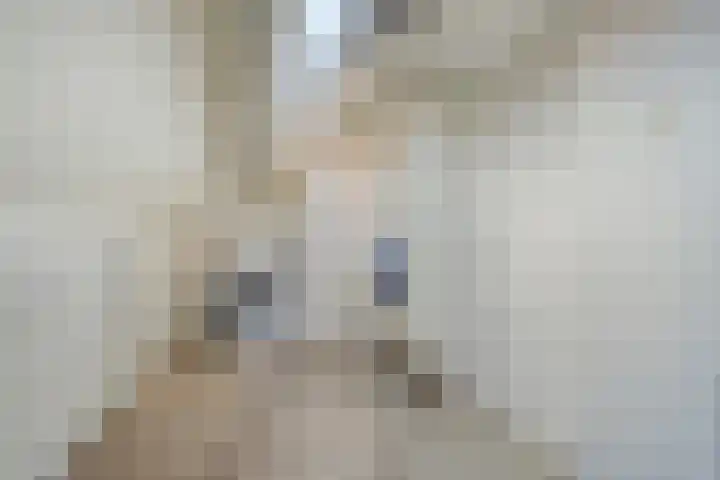 Akkerwindelaan 13 Scherpenzeel thumbnail 24