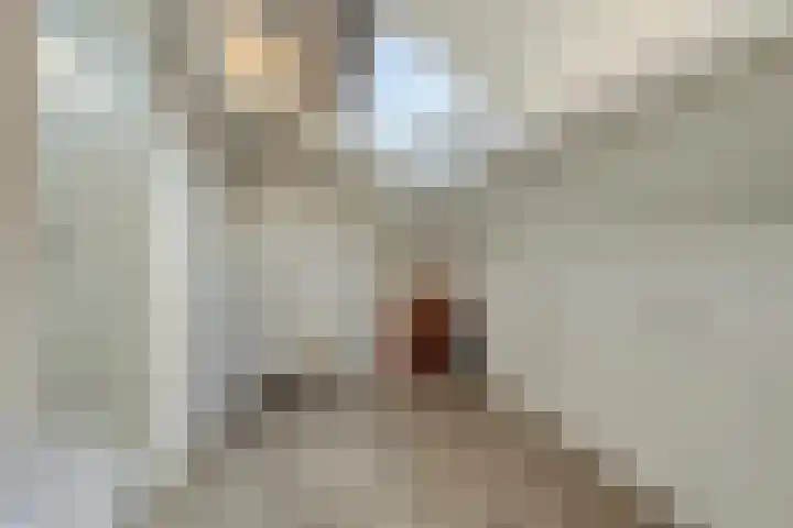 Akkerwindelaan 13 Scherpenzeel thumbnail 25