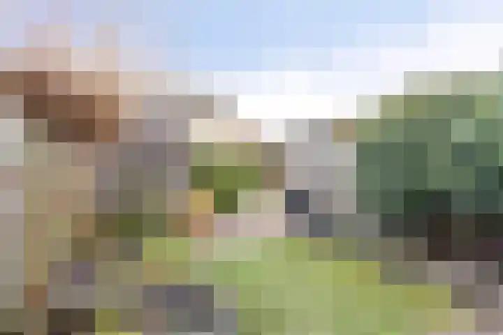 Akkerwindelaan 13 Scherpenzeel thumbnail 29