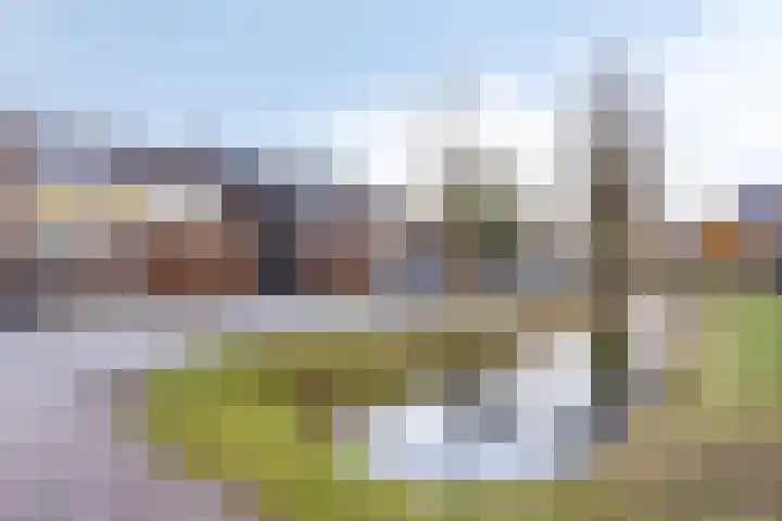 Akkerwindelaan 13 Scherpenzeel thumbnail 30