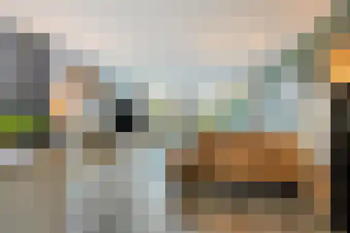 Akkerwindelaan 13 Scherpenzeel thumbnail 4