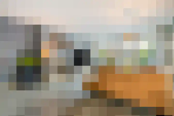 Akkerwindelaan 13 Scherpenzeel thumbnail 5