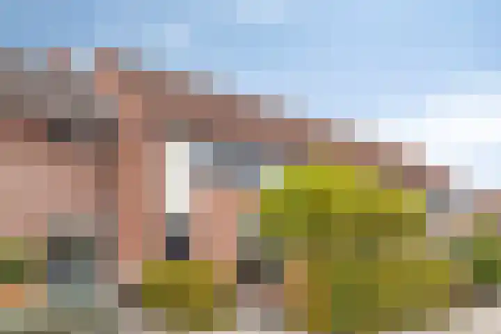 Akkerwindelaan 19 Terneuzen
