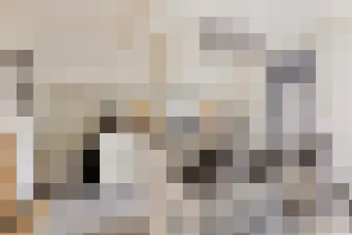 Akkerwindelaan 19 Terneuzen thumbnail 12