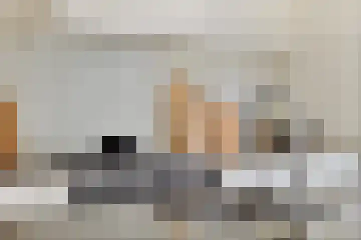 Akkerwindelaan 19 Terneuzen thumbnail 14