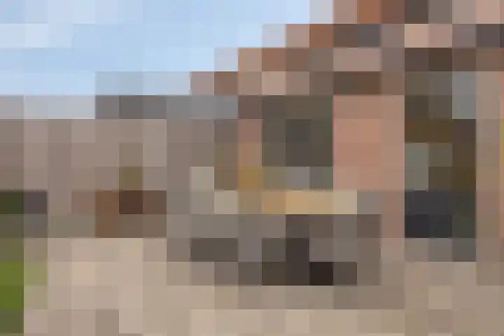 Akkerwindelaan 19 Terneuzen thumbnail 22