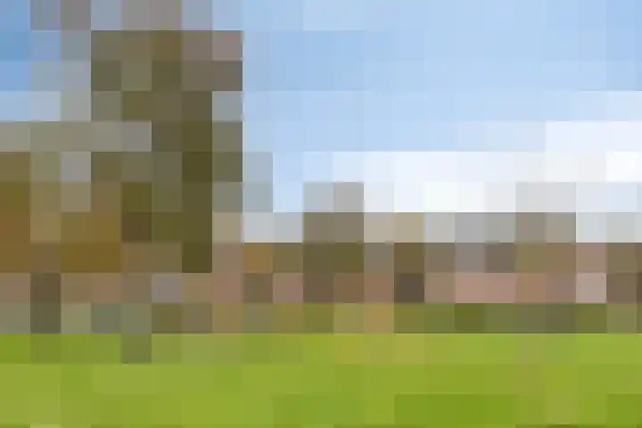Akkerwindelaan 19 Terneuzen thumbnail 25