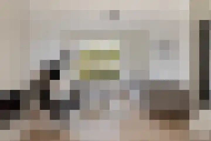 Akkerwindelaan 19 Terneuzen thumbnail 6