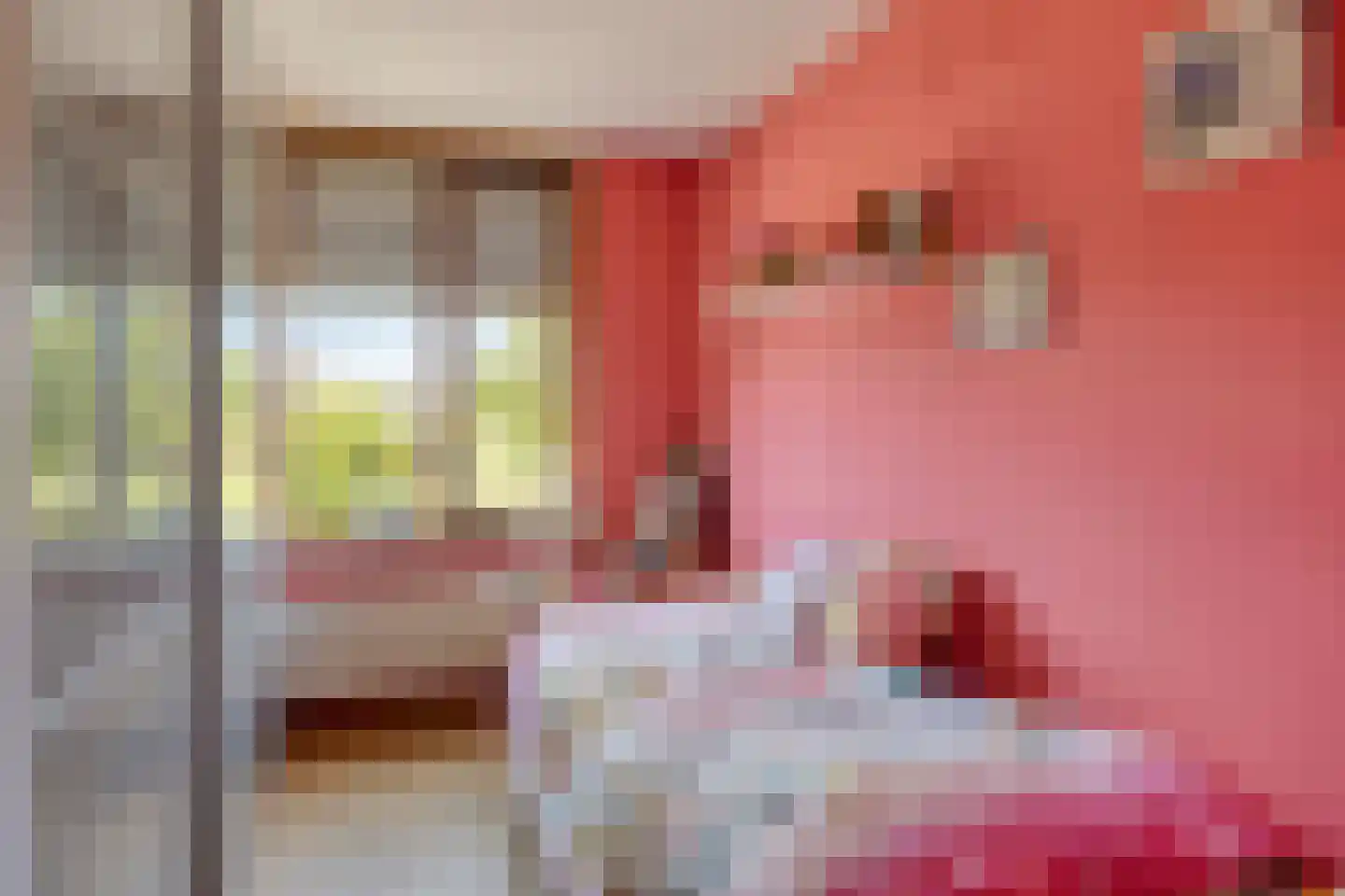 Akkerwindelaan 28 Terneuzen thumbnail 18