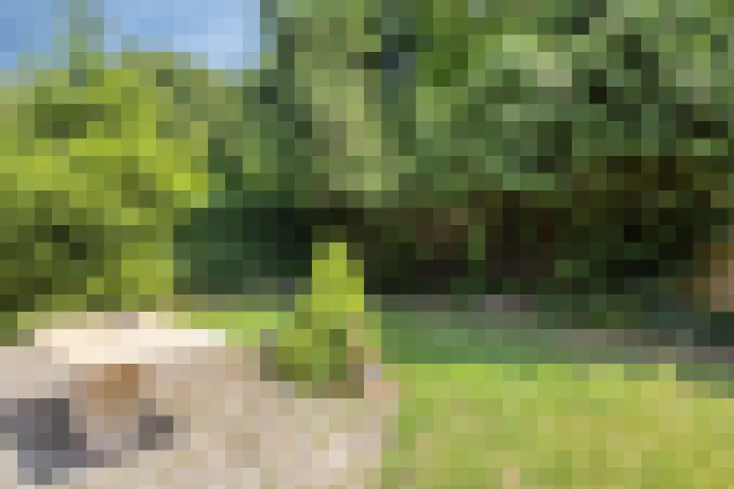 Akkerwindelaan 28 Terneuzen thumbnail 22