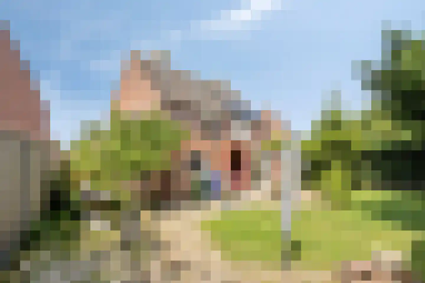 Akkerwindelaan 28 Terneuzen thumbnail 23