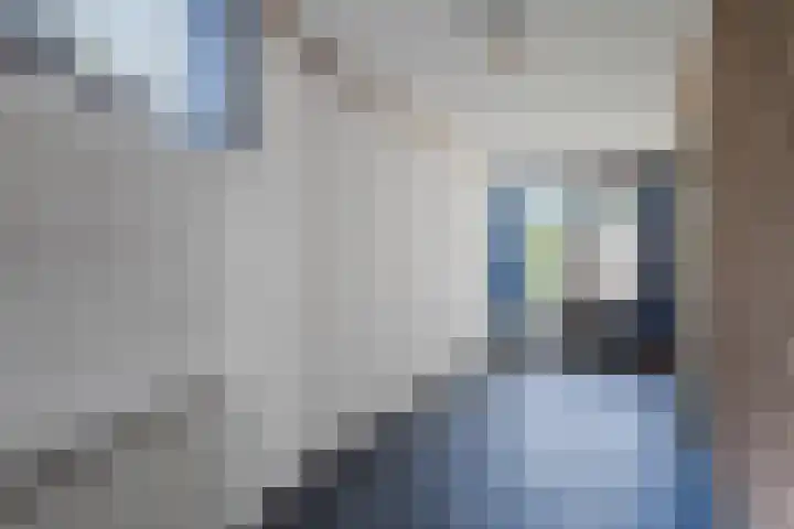 Akkerwindelaan 74 Terneuzen thumbnail 17