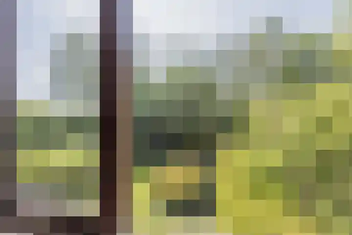 Akkerwindelaan 74 Terneuzen thumbnail 21