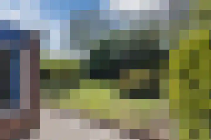 Akkerwindelaan 74 Terneuzen thumbnail 32