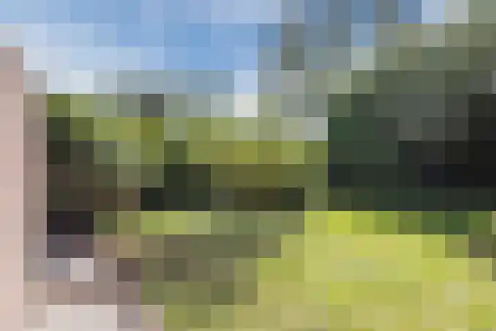 Akkerwindelaan 74 Terneuzen thumbnail 33