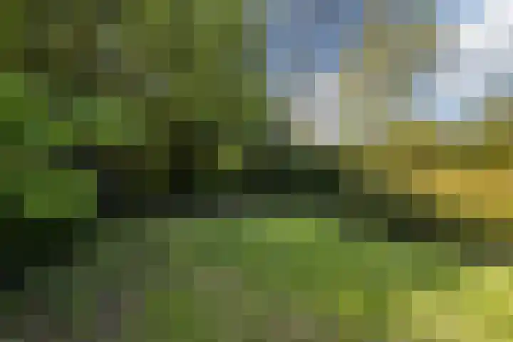 Akkerwindelaan 74 Terneuzen thumbnail 34