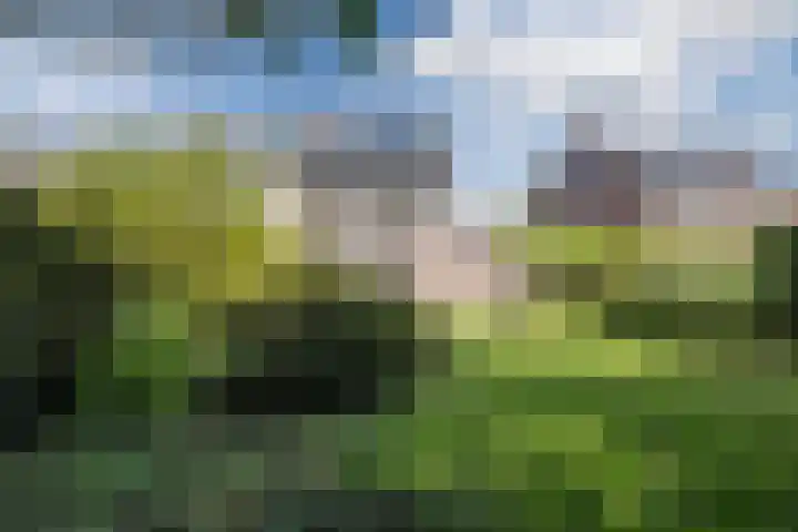 Akkerwindelaan 74 Terneuzen thumbnail 35