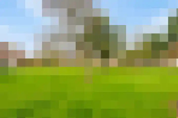 Akkerwindelaan 74 Terneuzen thumbnail 37