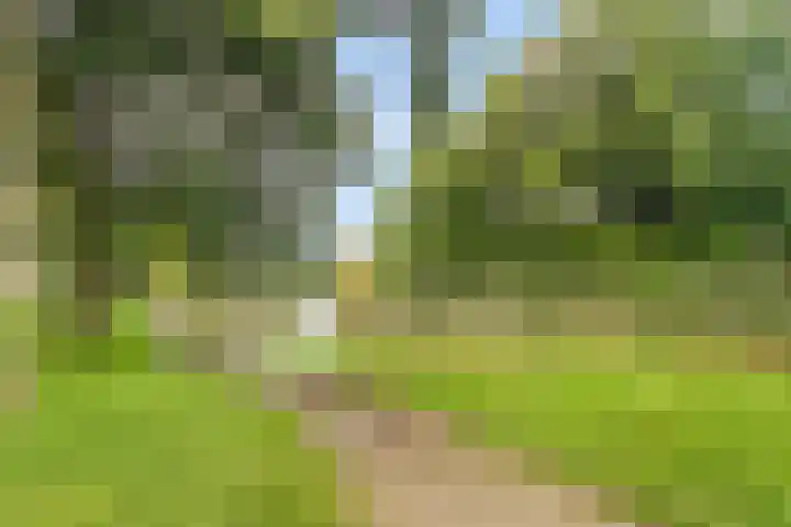 Akkerwindelaan 74 Terneuzen thumbnail 38