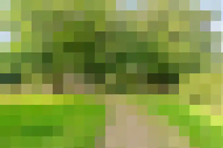 Akkerwindelaan 74 Terneuzen thumbnail 39