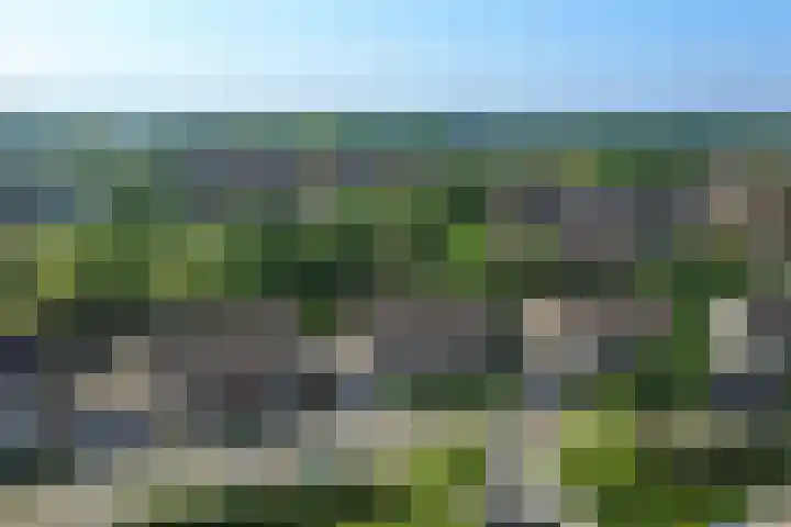 Akkerwindelaan 74 Terneuzen thumbnail 4