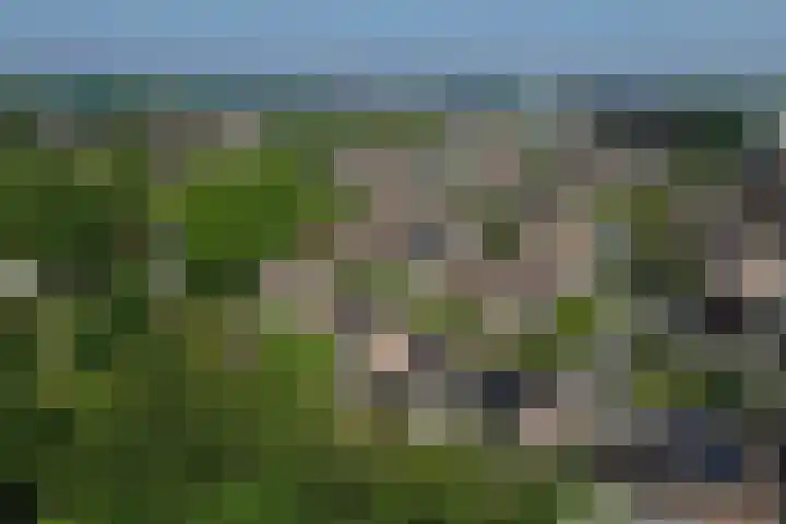 Akkerwindelaan 74 Terneuzen thumbnail 40
