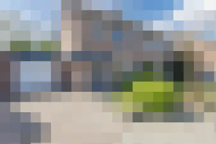 Akkerwindelaan 74 Terneuzen thumbnail 44