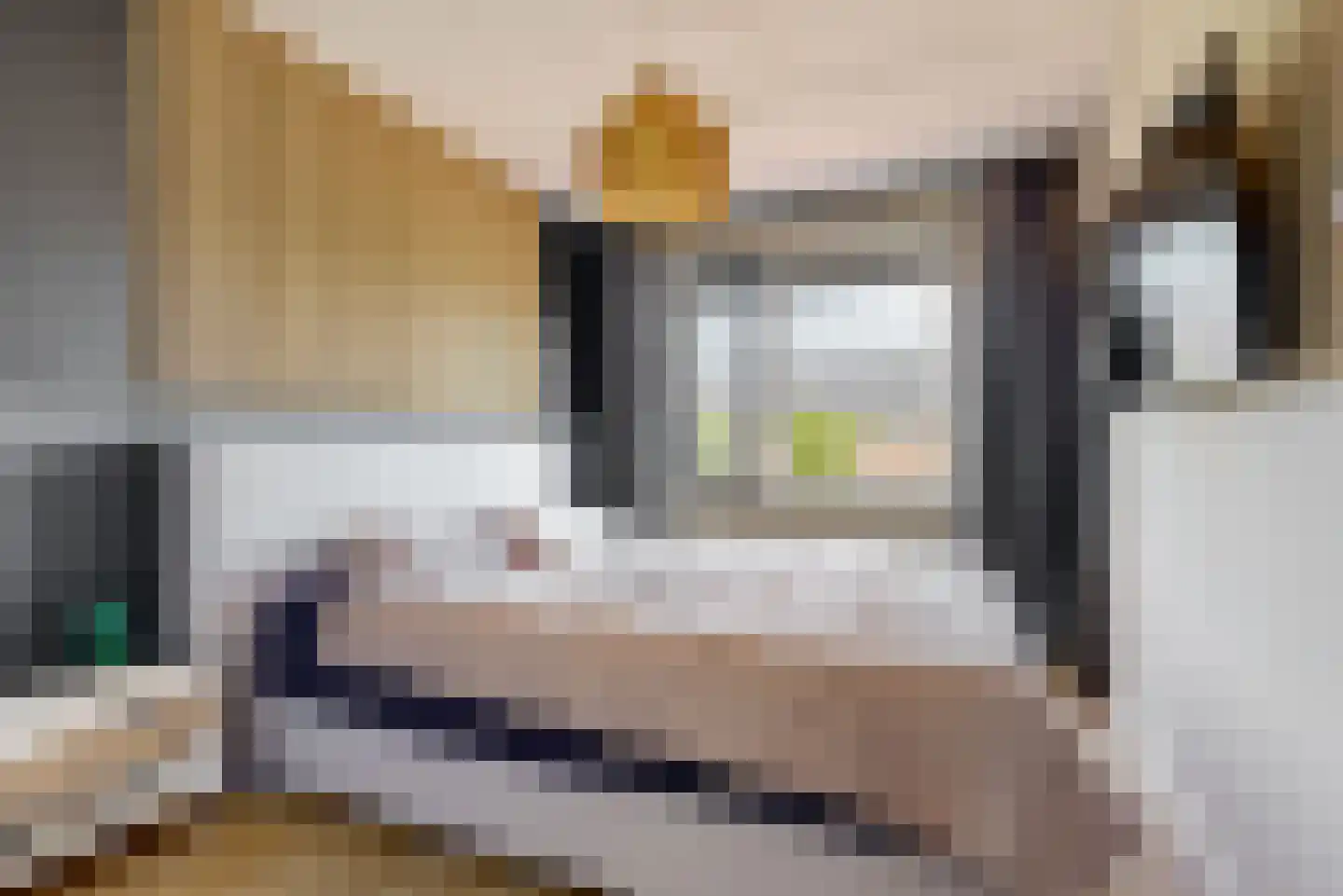 Akkerwindepad 2 Heerhugowaard thumbnail 14