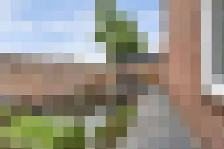 Akkerwindestraat 38 Wijchen thumbnail 38