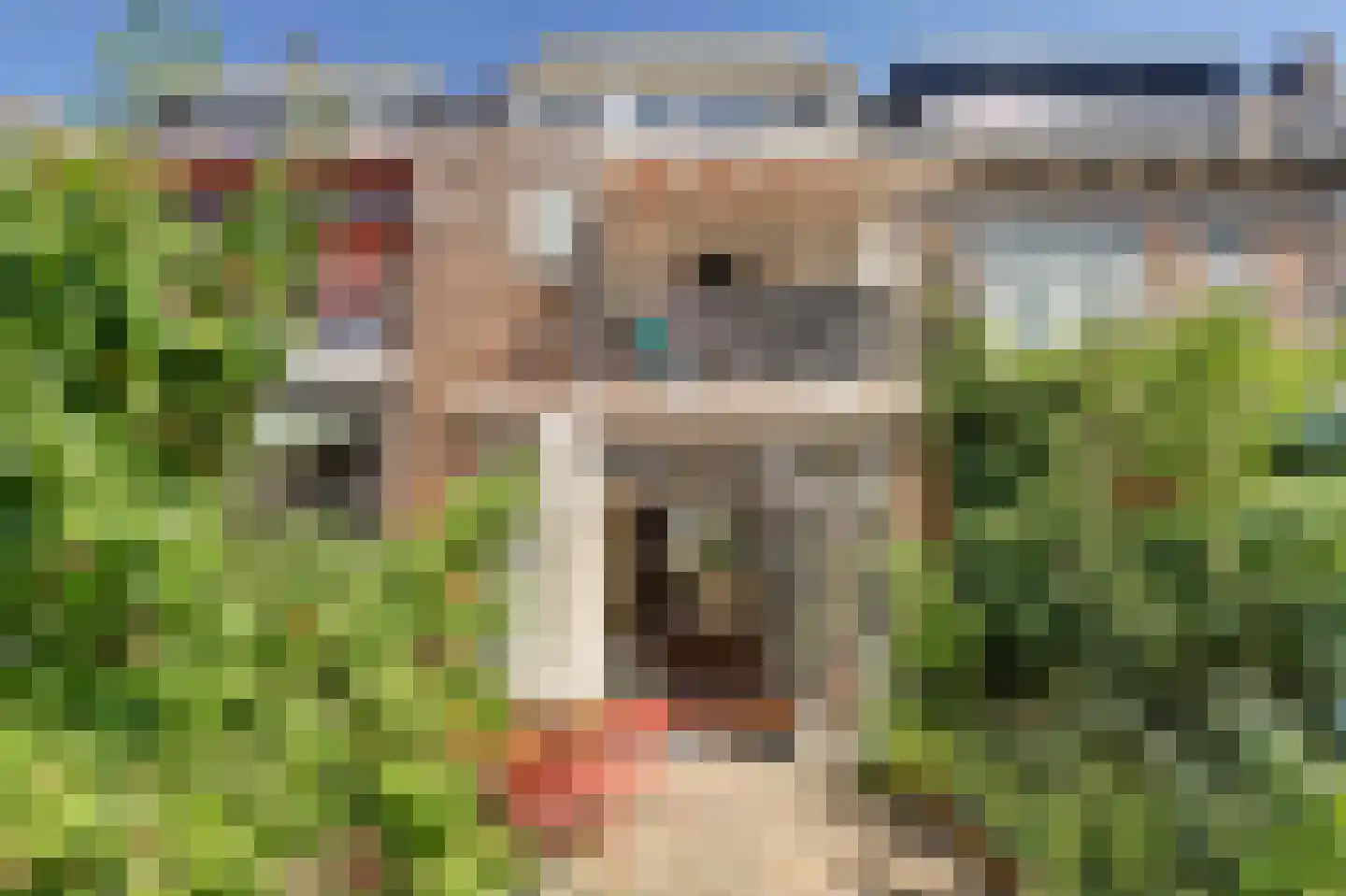 Akkerwindestraat 5 A Rotterdam thumbnail 14